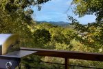 GRILL VIEW